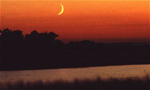 Sunset and Moonlight!